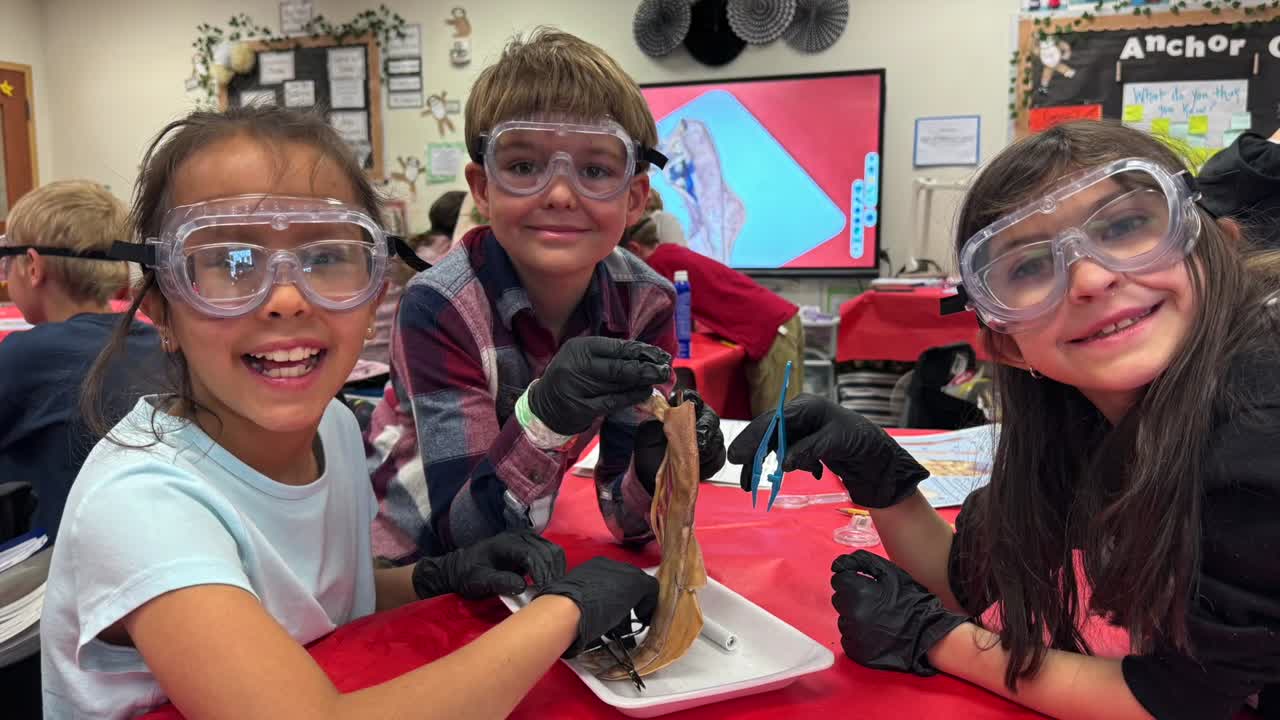4th grade Squid Dissection 2025